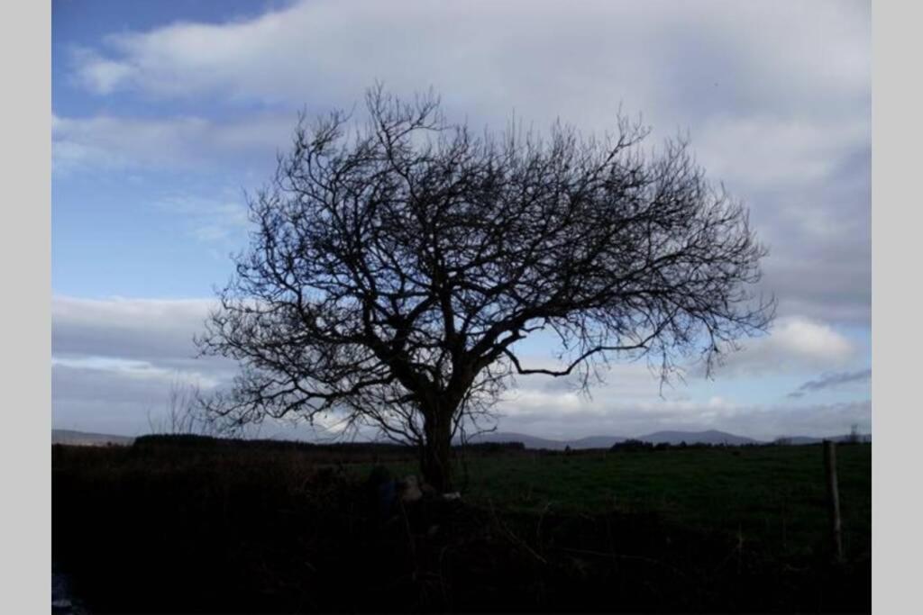 Driftwood Country Apartment Skibbereen Bagian luar foto